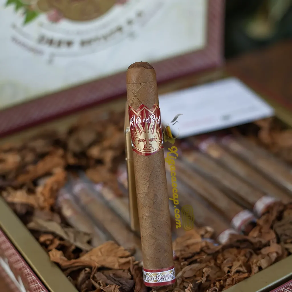 Chi tiết lá quấn wrapper Sumatra và vòng band của một điếu xì gà Isla Del Sol Gran Corona