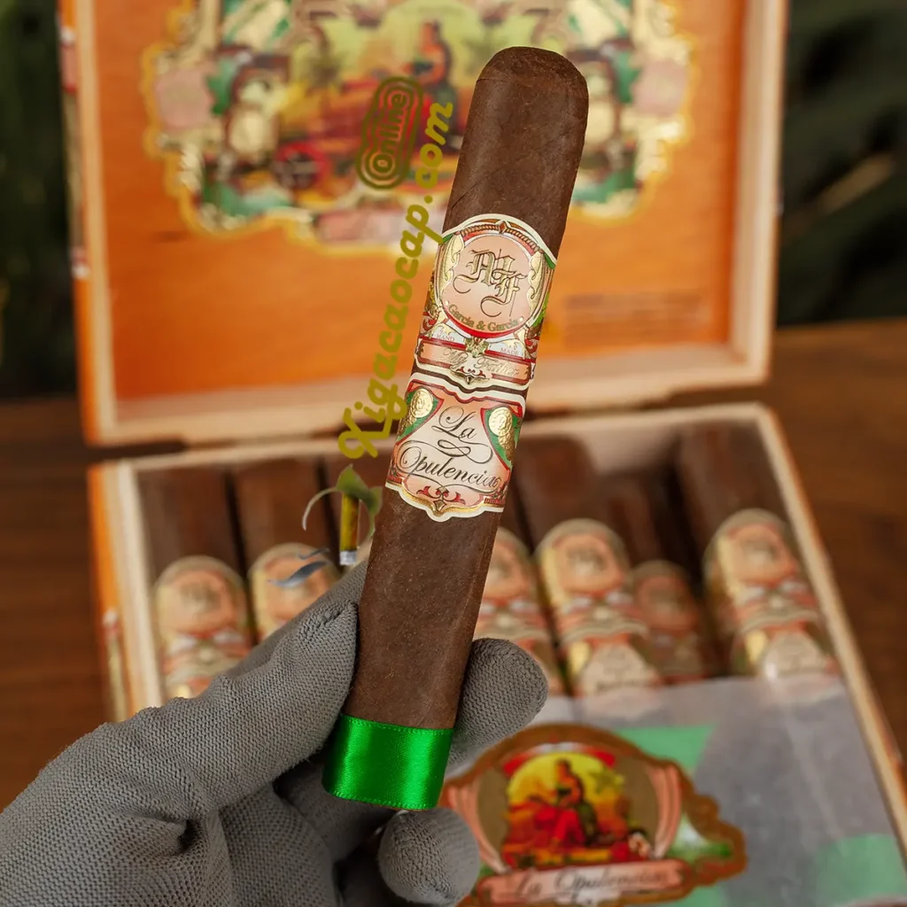 Xì gà My Father La Opulencia Super Toro cầm trên tay thực tế