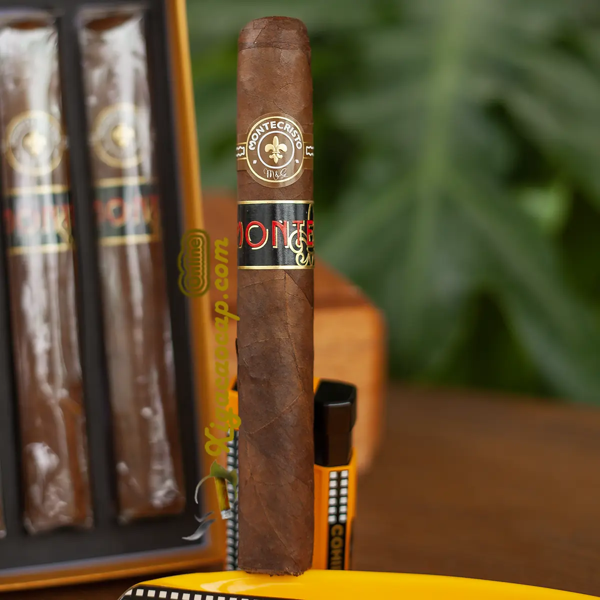 Cận cảnh tem kép dập nổi của xì gà Monte by Montecristo Toro chính hãng