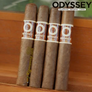 Xì gà thơm Odyssey Coffee Robusto gói 4 điếu vị cafe sữa dễ hút cho người mới