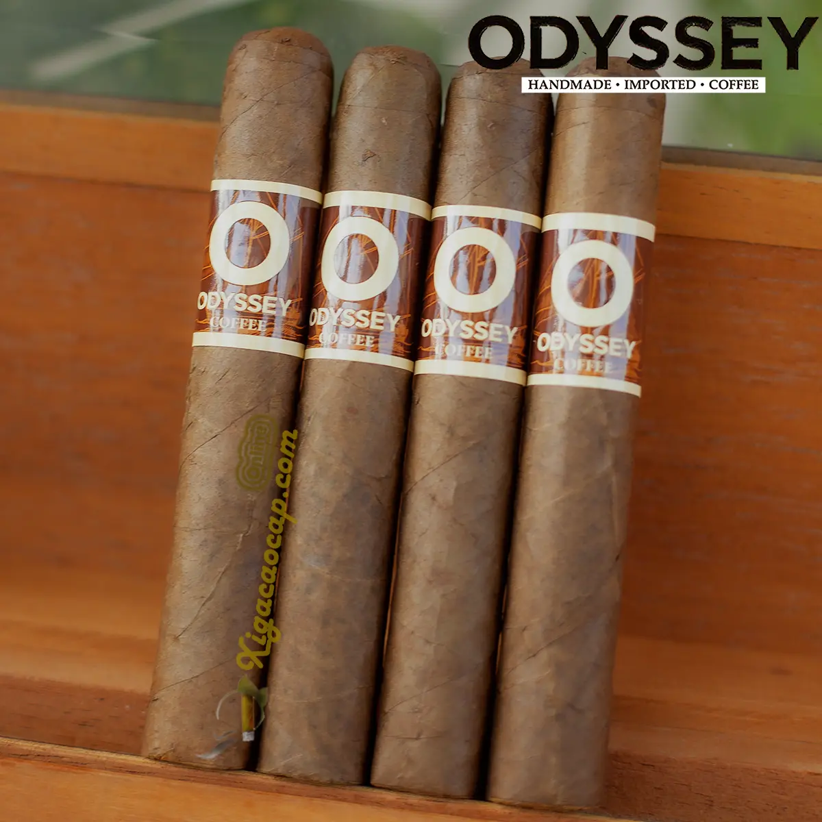 Xì gà thơm Odyssey Coffee Robusto gói 4 điếu vị cafe sữa dễ hút cho người mới
