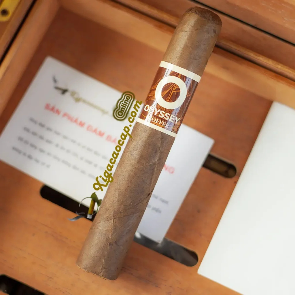 Cận cảnh điếu xì gà Odyssey Coffee Robusto wrapper maduro thơm cafe