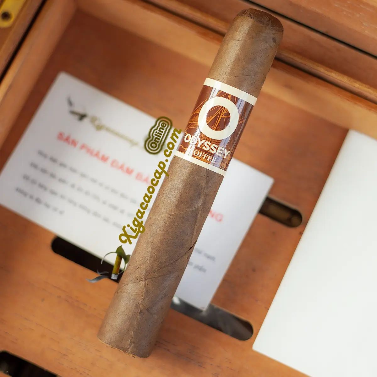Cận cảnh điếu xì gà Odyssey Coffee Robusto wrapper maduro thơm cafe