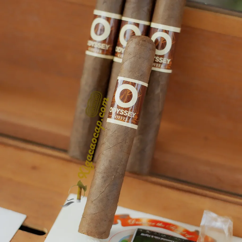 Xì gà sữa Odyssey Coffee hương cafe ngọt nhẹ creamy dễ hút