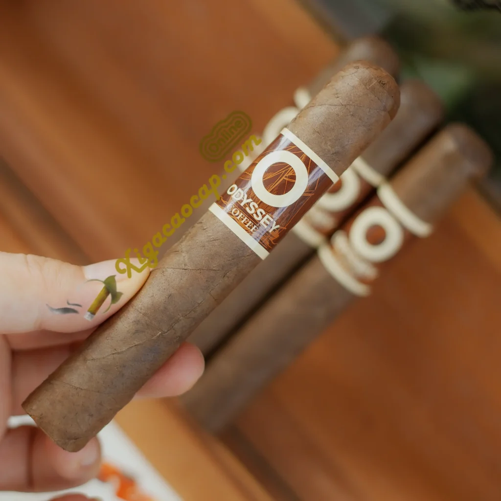 Xì gà Odyssey Coffee Robusto cầm trên tay size robusto hương cafe creamy