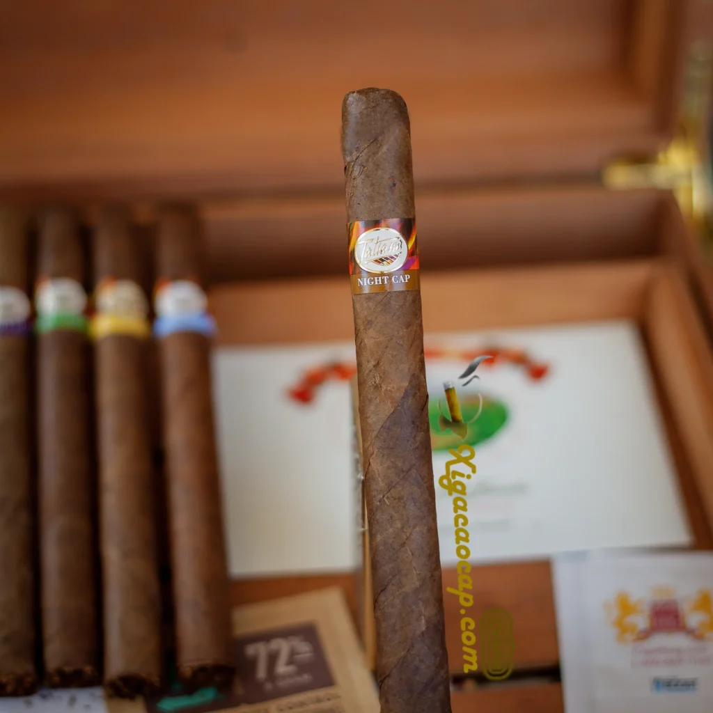 Cận cảnh lá wrapper Maduro sẫm màu của xì gà lẻ Tatiana Classic Night Cap