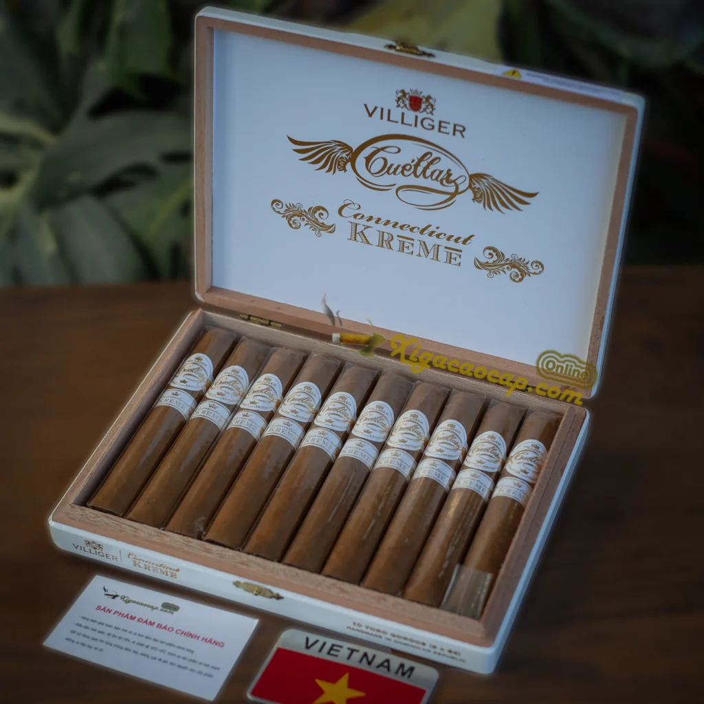 Mở hộp xì gà Villiger Cuellar Connecticut Kreme Toro Gordo 10 điếu