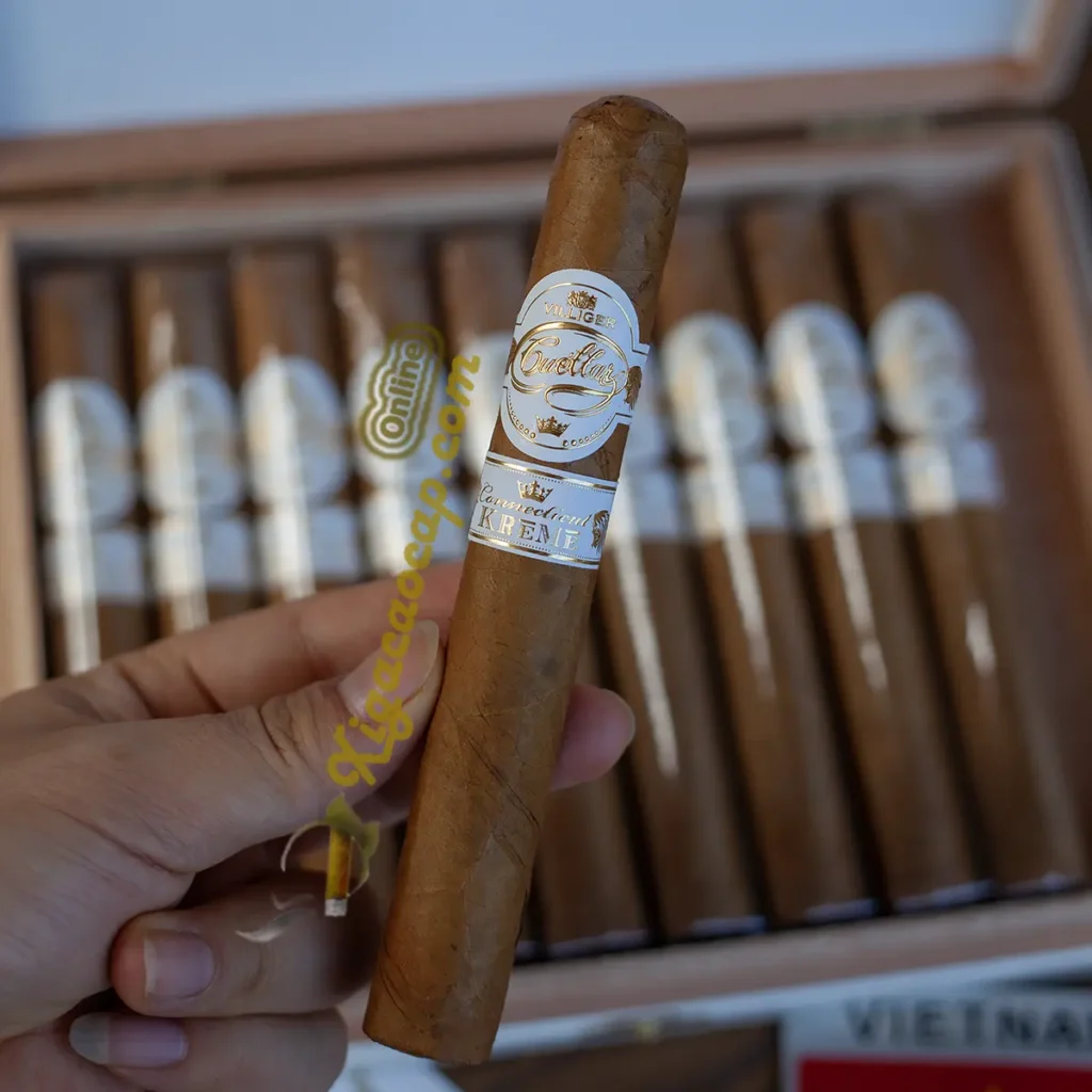 Trên tay điếu xì gà Villiger Cuellar Connecticut Kreme Toro Gordo kích thước lớn chính hãng