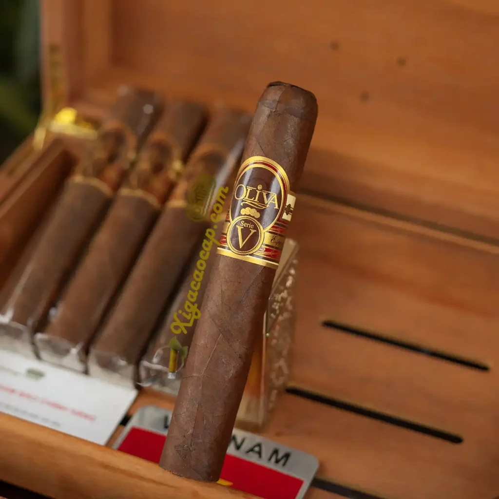 Cận cảnh điếu xì gà Oliva Serie V Double Toro chính hãng với lớp lá wrapper Habano Sun Grown cao cấp.