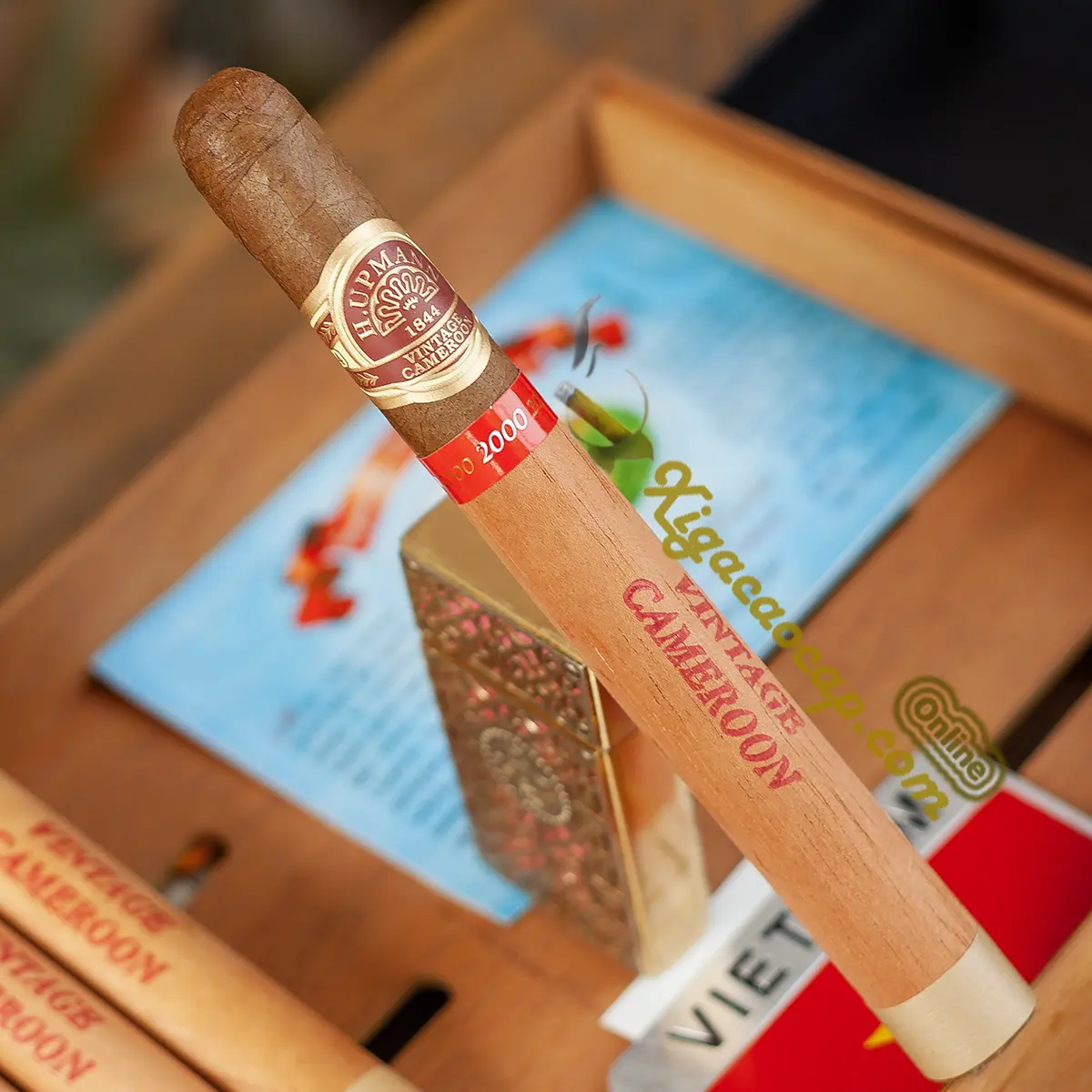 Điếu xì gà H Upmann Cameroon Certified Vintage 2000 Lonsdale chính hãng với cấu trúc cuốn hoàn hảo