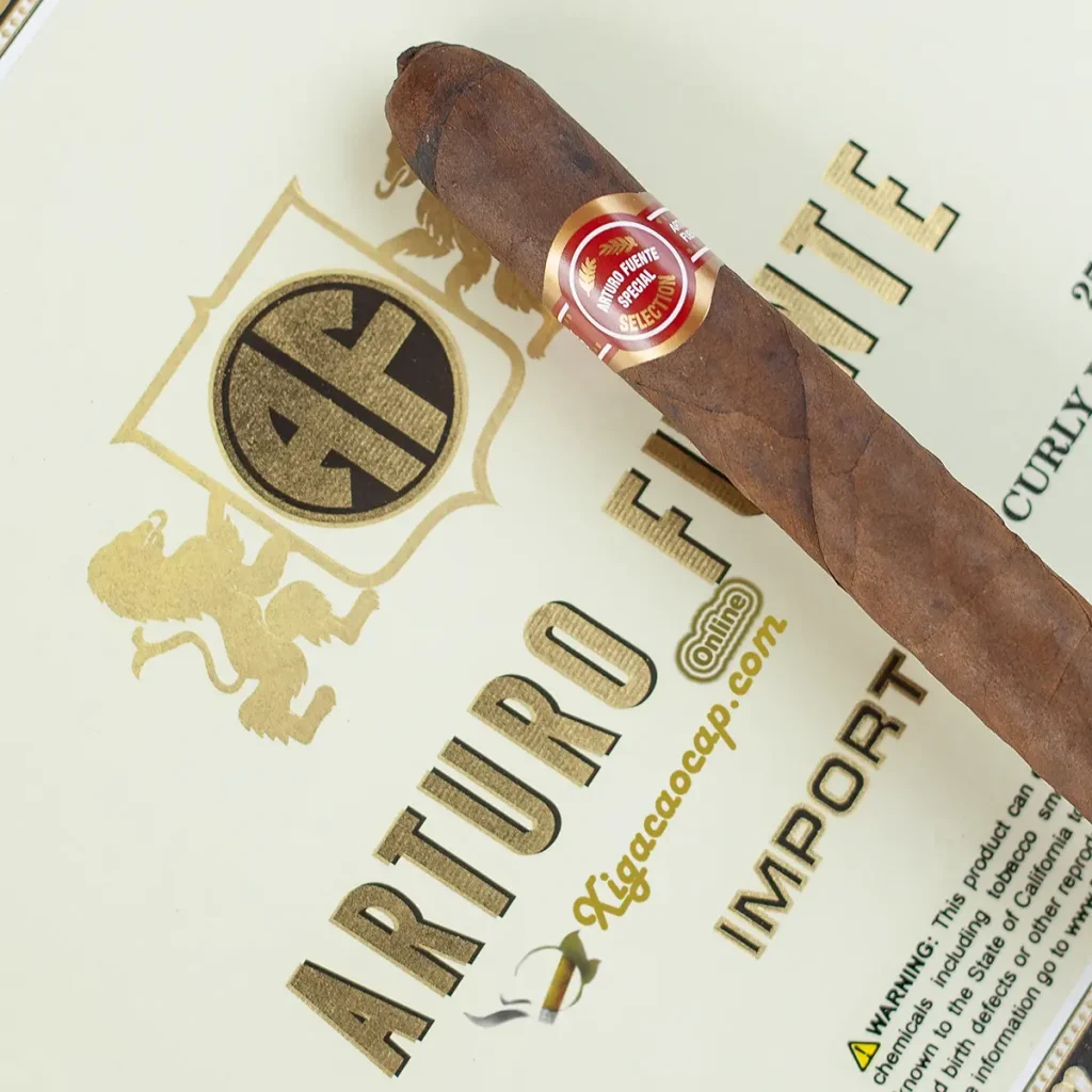 Điếu xì gà Arturo Fuente Curly Head Deluxe Maduro đặt trên logo hộp gỗ chính ngạch