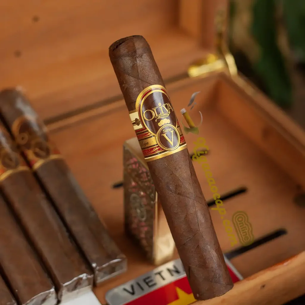 Đánh giá cấu trúc và độ hoàn thiện của xì gà Oliva Serie V Double Toro nhập khẩu.