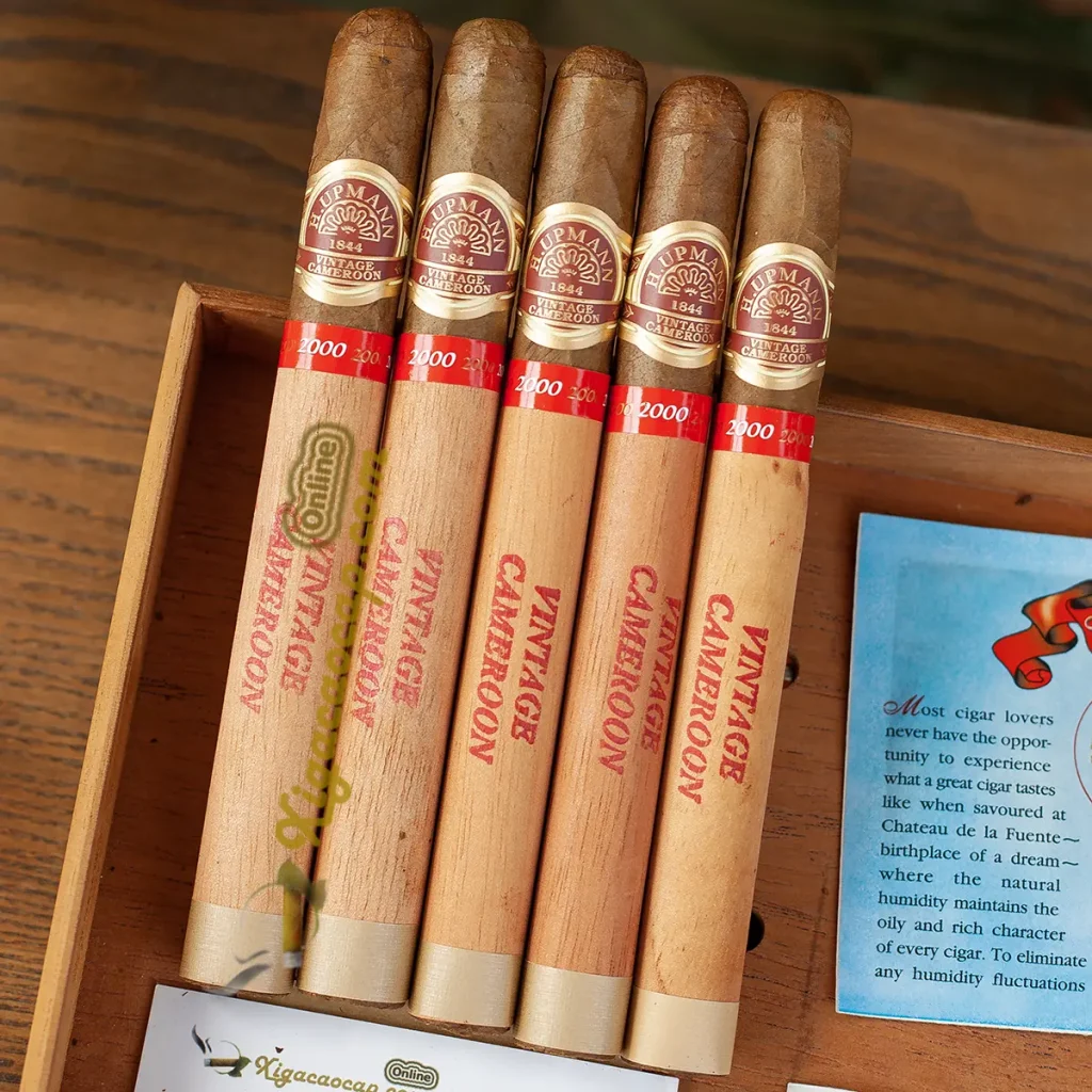Quy cách đóng gói 5 điếu xì gà H Upmann Cameroon Certified Vintage 2000 cao cấp