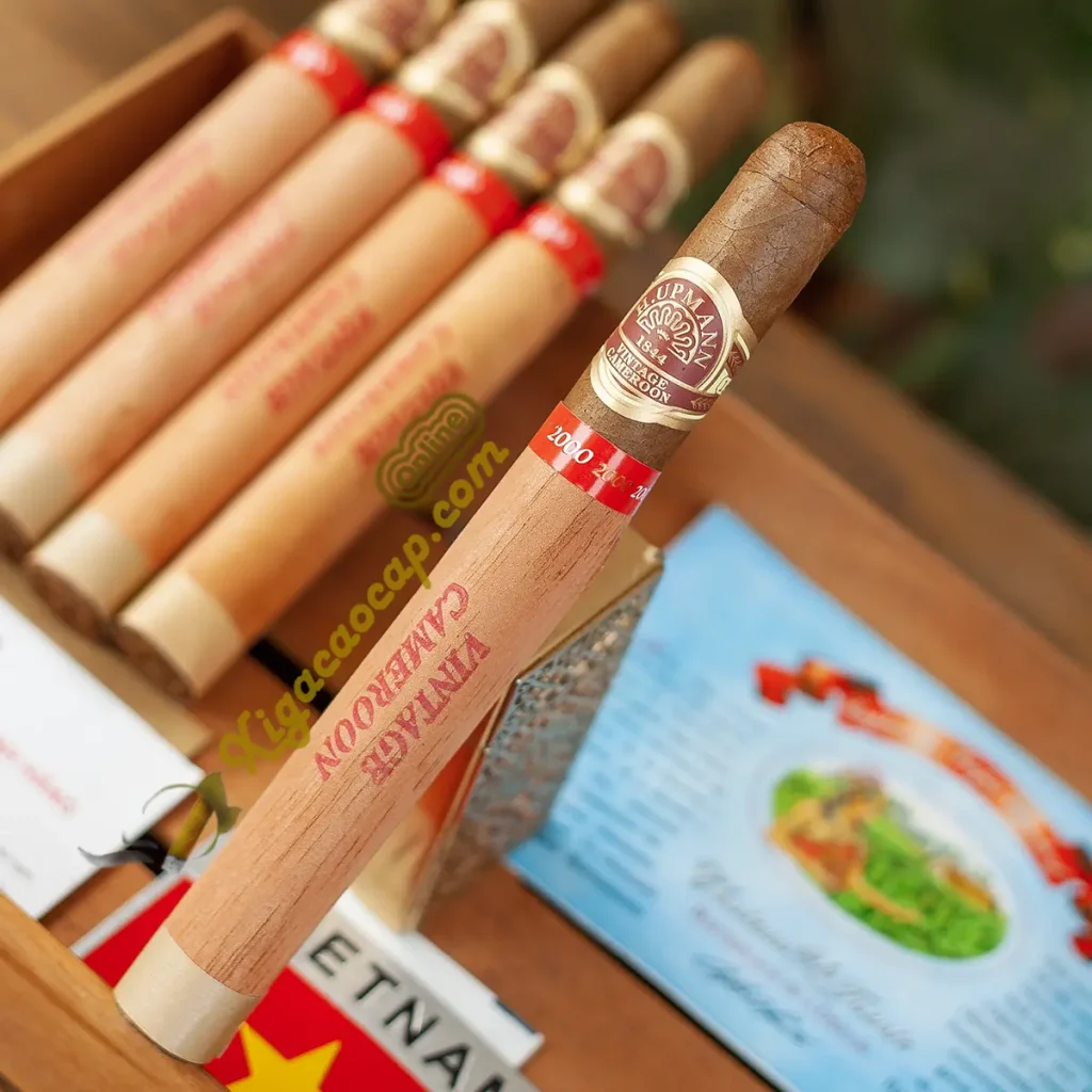 Cận cảnh lá wrapper Cameroon ủ từ năm 2000 của xì gà H Upmann Lonsdale