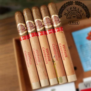 Xì gà H Upmann Cameroon Certified Vintage 2000 Lonsdale gói 5 điếu chính hãng tại xigacaocap