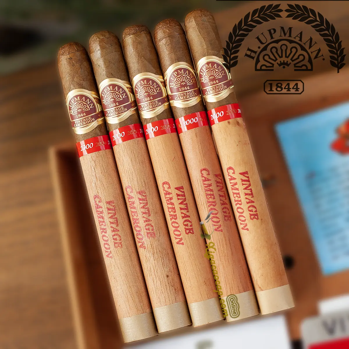 Xì gà H Upmann Cameroon Certified Vintage 2000 Lonsdale gói 5 điếu chính hãng tại xigacaocap