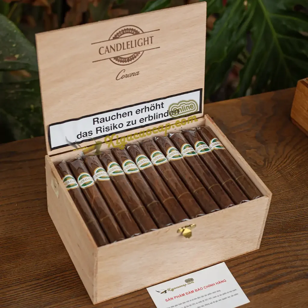 Mở hộp xì gà Candlelight Corona Brasil Đức xếp ngay ngắn