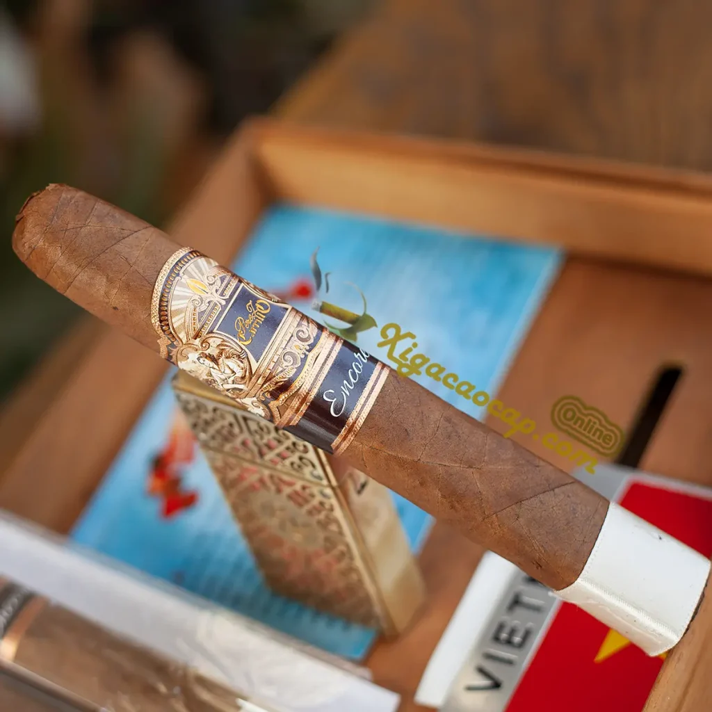 Cận cảnh kết cấu điếu xì gà Casa Carrillo Encore Celestial ép vuông Box-Pressed