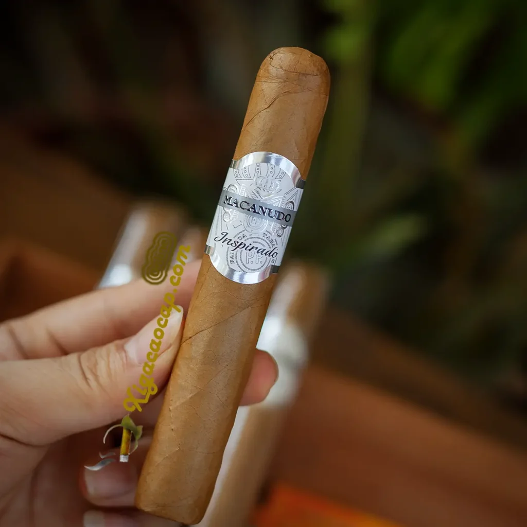 Trên tay xì gà Macanudo Inspirado White Robusto màu trắng tinh tế.