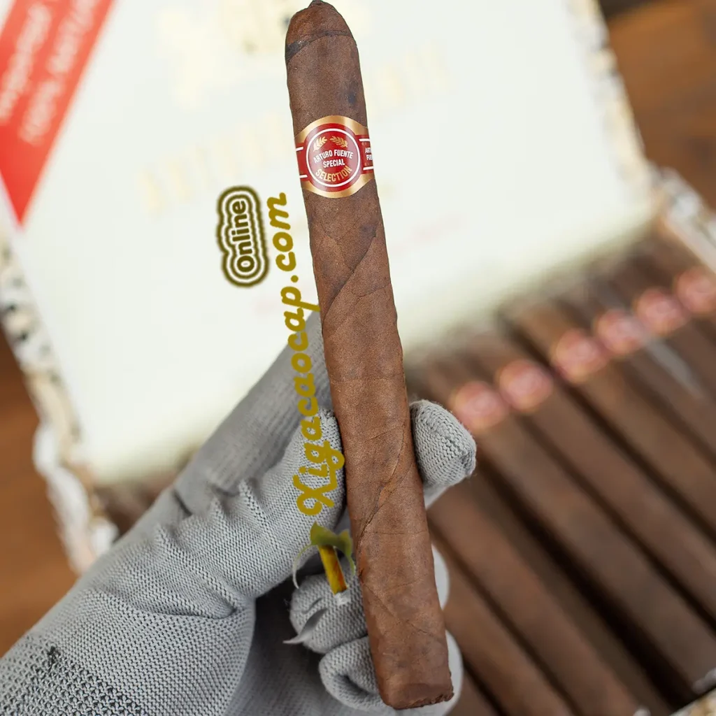 Cầm trên tay điếu xì gà Arturo Fuente Curly Head Deluxe Maduro chuẩn vitola Lonsdale