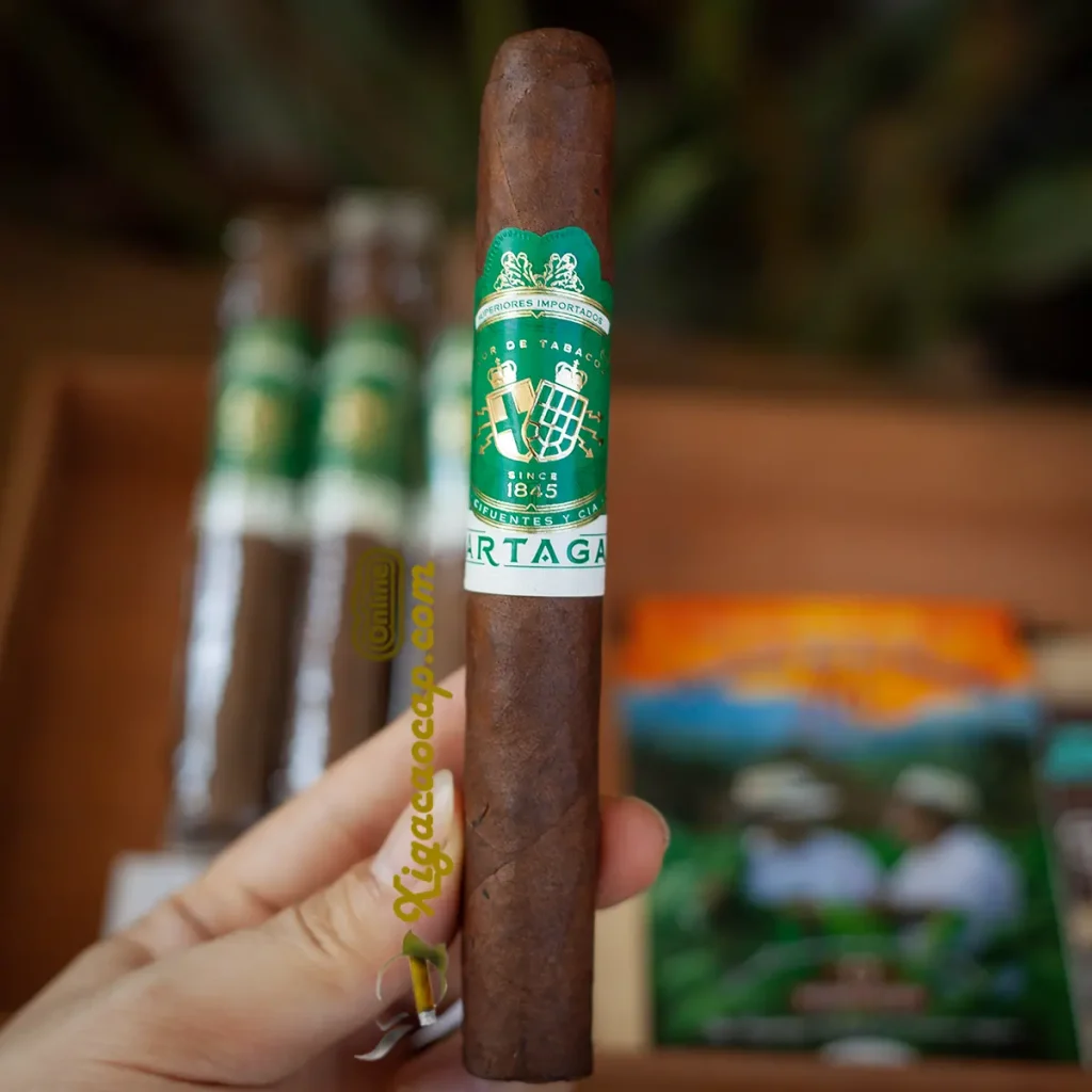 Trên tay thực tế điếu lẻ xì gà Partagas Valle Verde Toro
