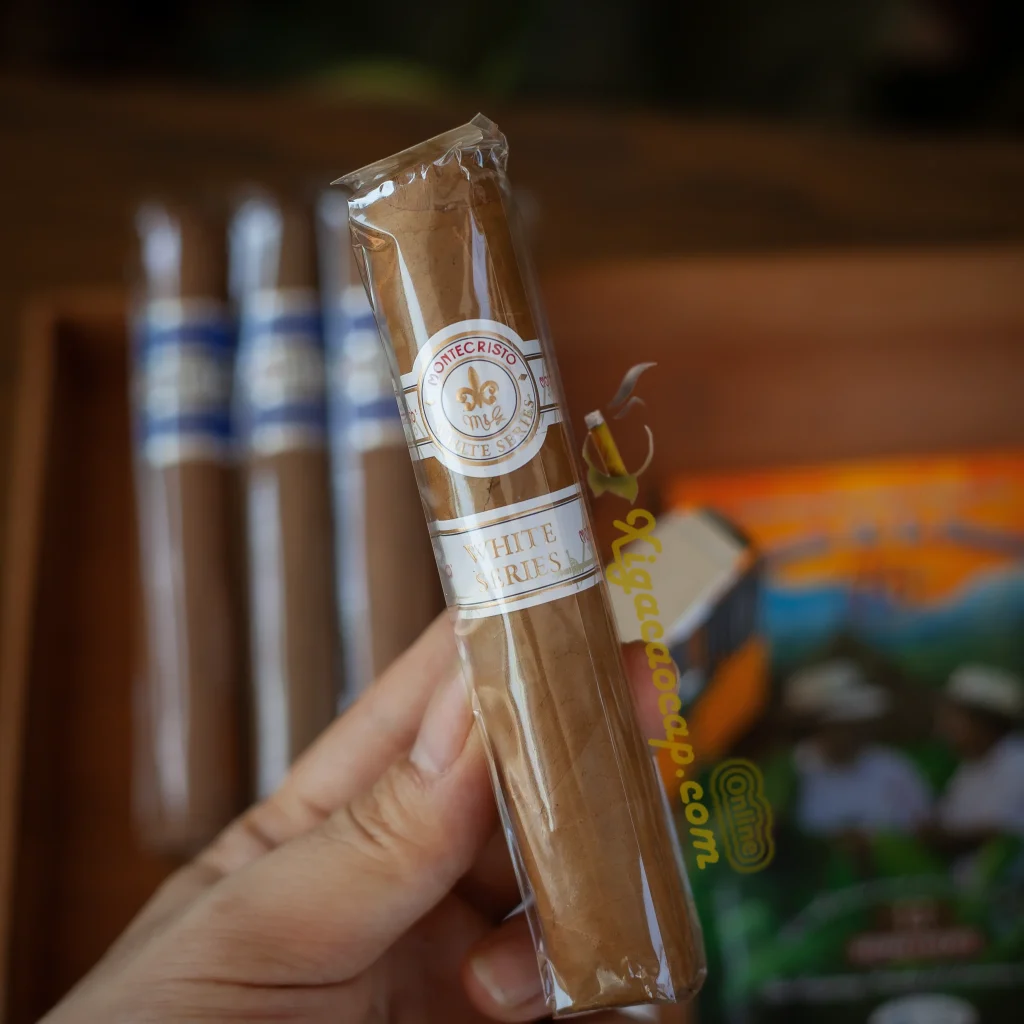 Cầm trên tay điếu đơn xì gà Montecristo White Series Rothchilde đầm tay.