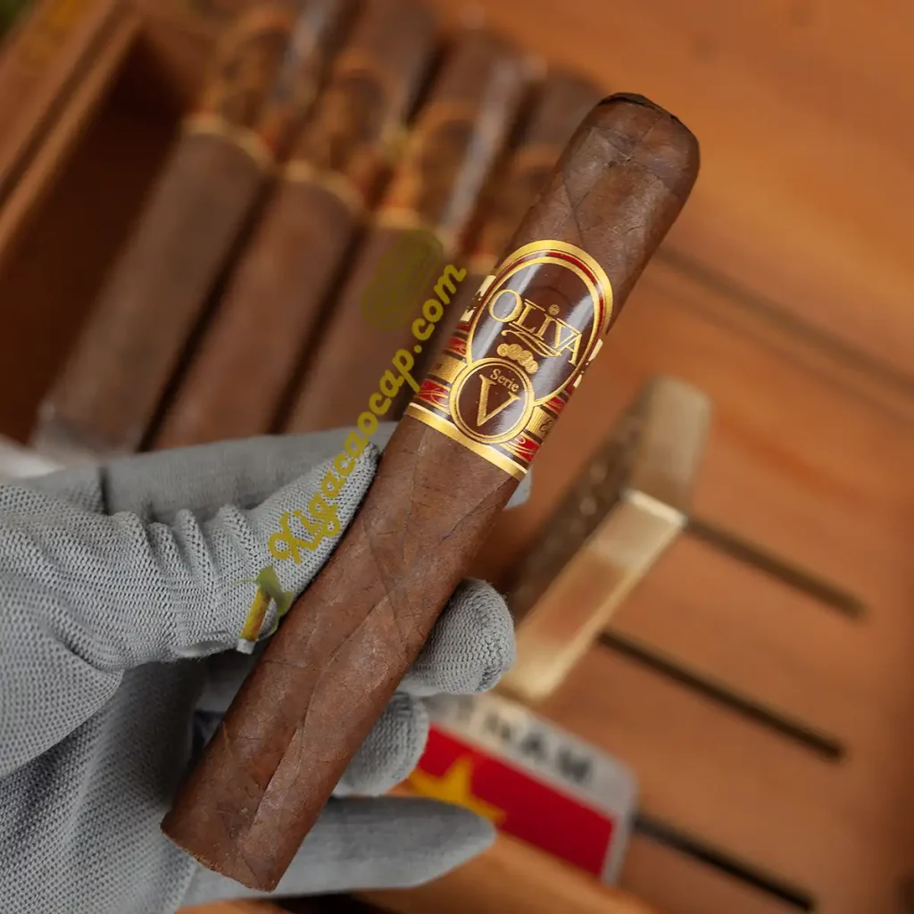 Hình ảnh thực tế trên tay xì gà Oliva Serie V Double Toro ring 60 bệ vệ cho các quý ông.
