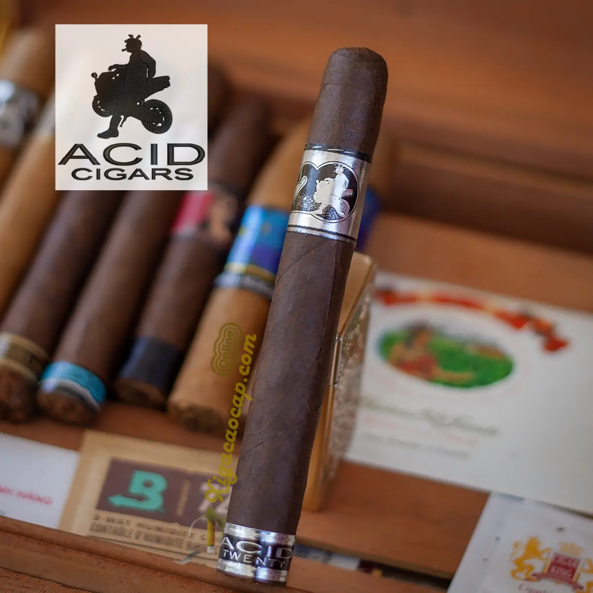 Xì gà ACID 20 Maduro Toro lẻ 1 điếu chính hãng Drew Estate