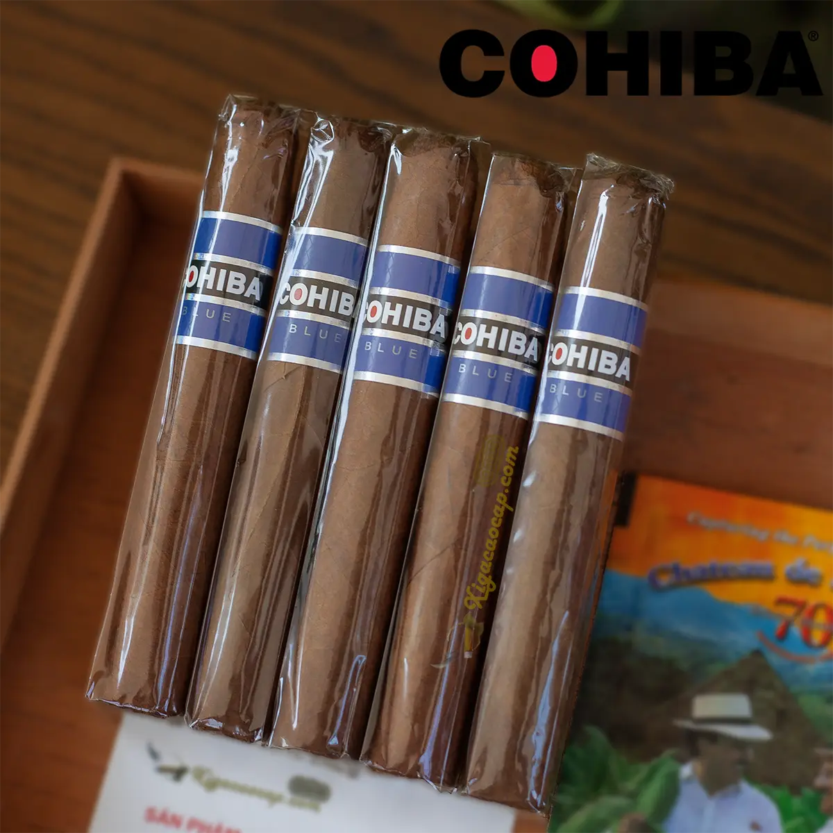 Xì Gà Cohiba Blue Robusto – Gói 5 Điếu Chính Hãng