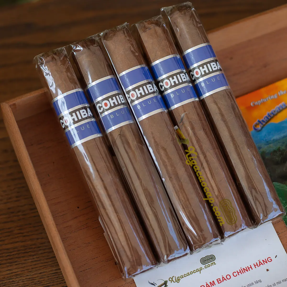 Gói 5 điếu xì gà Cohiba Blue Robusto