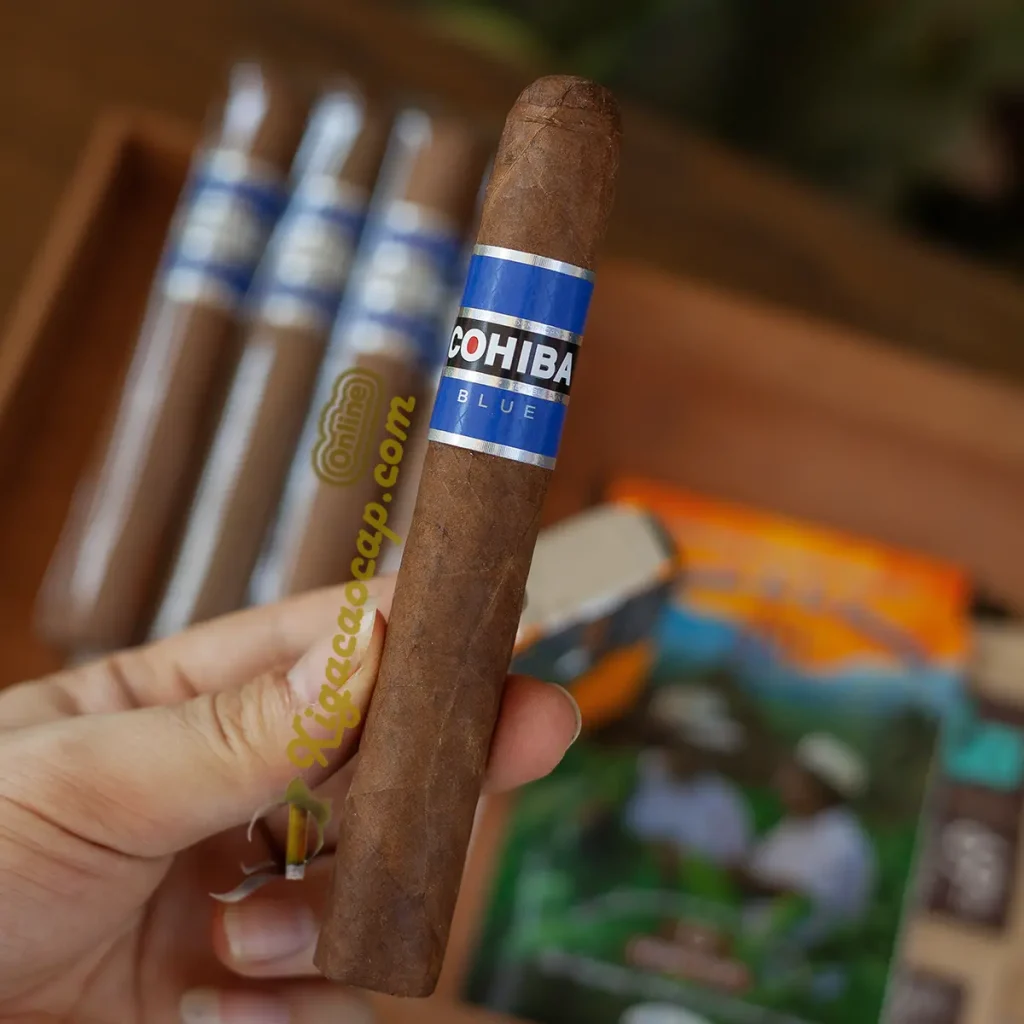 Trên tay xì gà Cohiba Blue Robusto