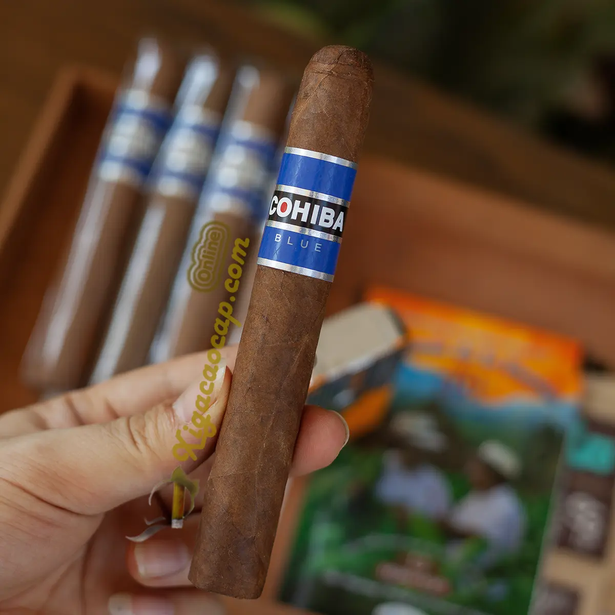 Trên tay xì gà Cohiba Blue Robusto