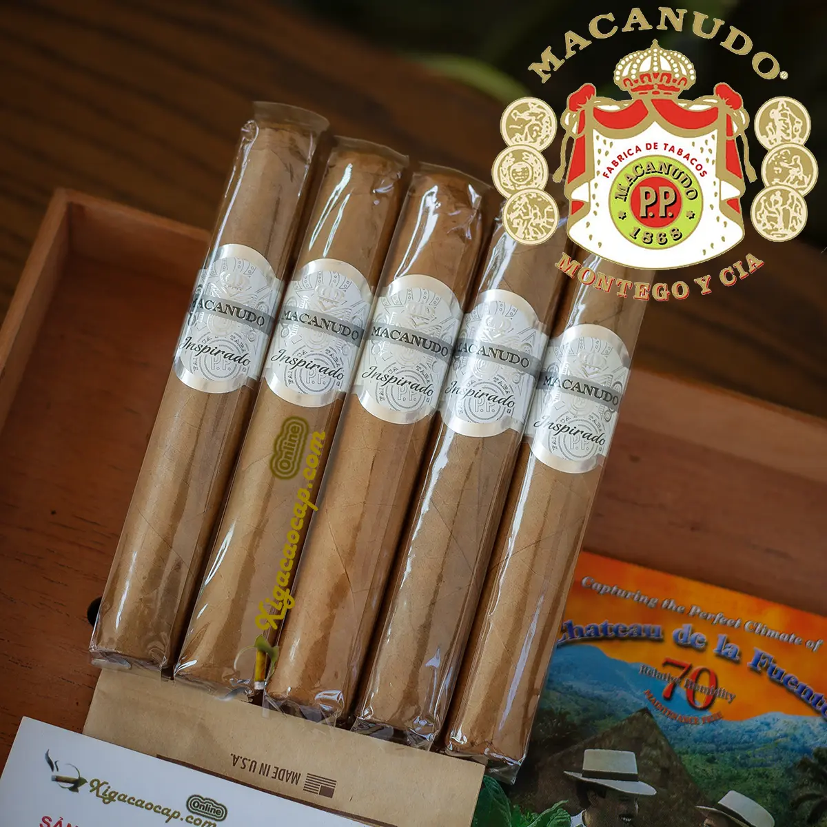 Gói xì gà Macanudo Inspirado White Robusto 5 điếu chính hãng tại xigacaocap.com.