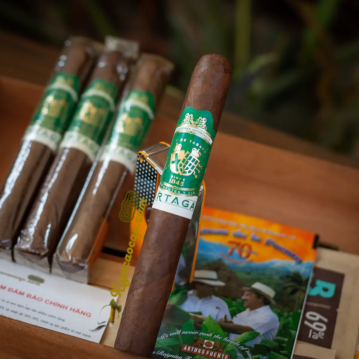 Chi tiết điếu xì gà Partagas Valle Verde Toro