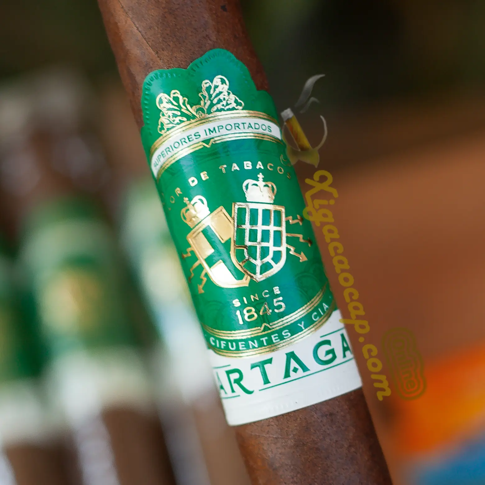 Tem nhãn xì gà Partagas