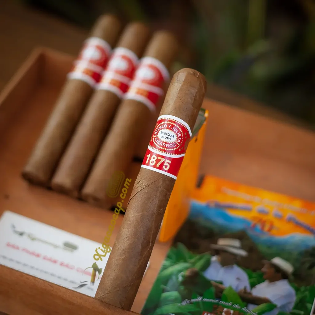 Cận cảnh kết cấu lớp lá quấn ngoài Java của điếu lẻ Romeo y Julieta 1875 Bully