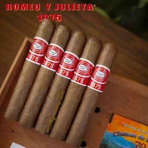 Gói xì gà Romeo y Julieta 1875 Bully 5 điếu chính hãng tại xigacaocap.com.