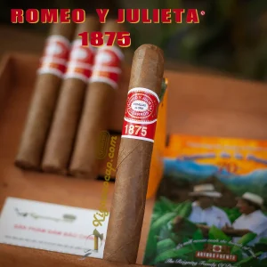 Xì gà Romeo y Julieta 1875 Bully lẻ 1 điếu chính hãng