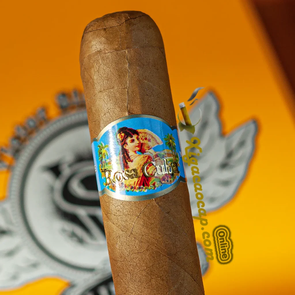 Logo cô gái phong cách xì gà cuba cổ điển trên điếu Rosa Cuba