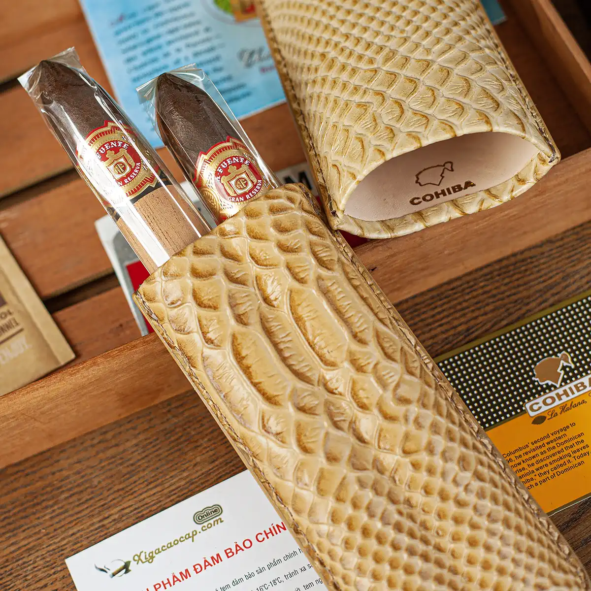 Can canh bao da xiga van da ran va logo Cohiba vang sang trong xigacaocap.com