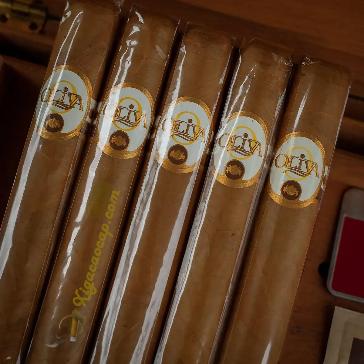 Cận cảnh tem 5 điếu xì gà Oliva Connecticut Reserve Double Toro chính hãng