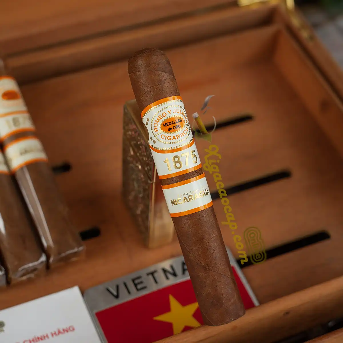 Cận cảnh cấu trúc và lớp lá quấn Nicaraguan Puro của xì gà Romeo y Julieta