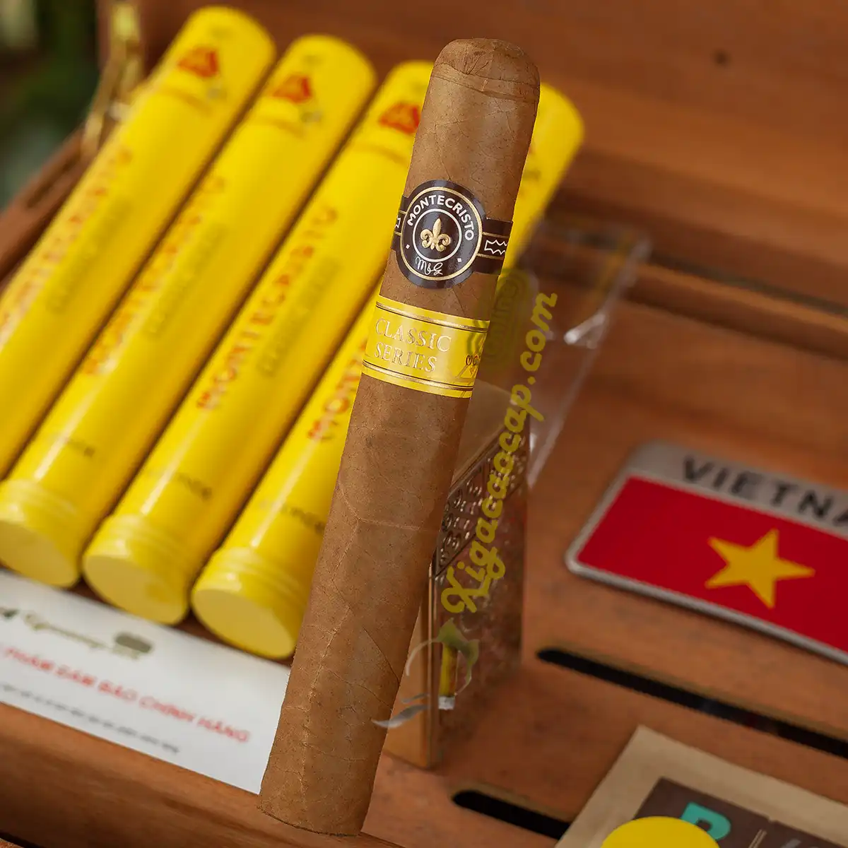 Chi tiết điếu xì gà Montecristo Classic El Conde chính hãng phân phối tại xigacaocap