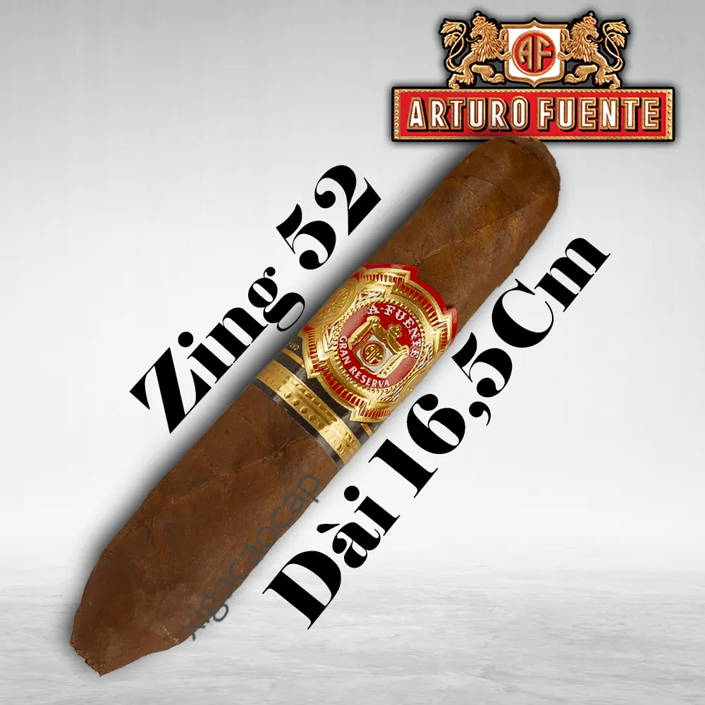 Xì gà Arturo Fuente Hemingway Best Seller lẻ 1 điếu dáng Perfecto chính hãng
