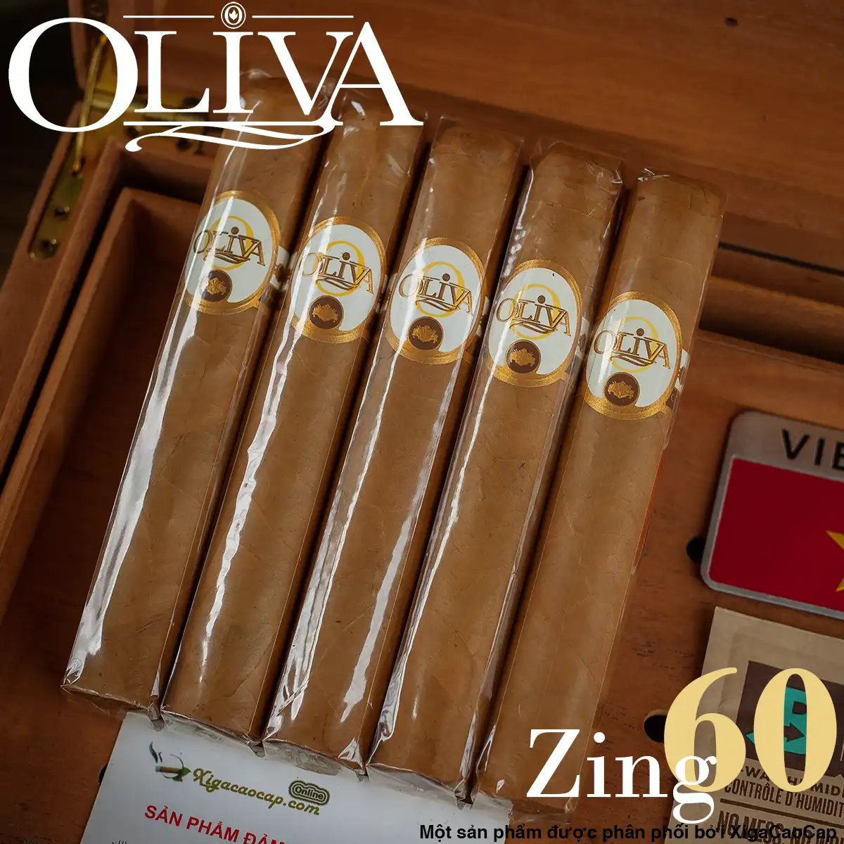 Xì gà Oliva Connecticut Reserve Double Toro gói 5 điếu chính hãng