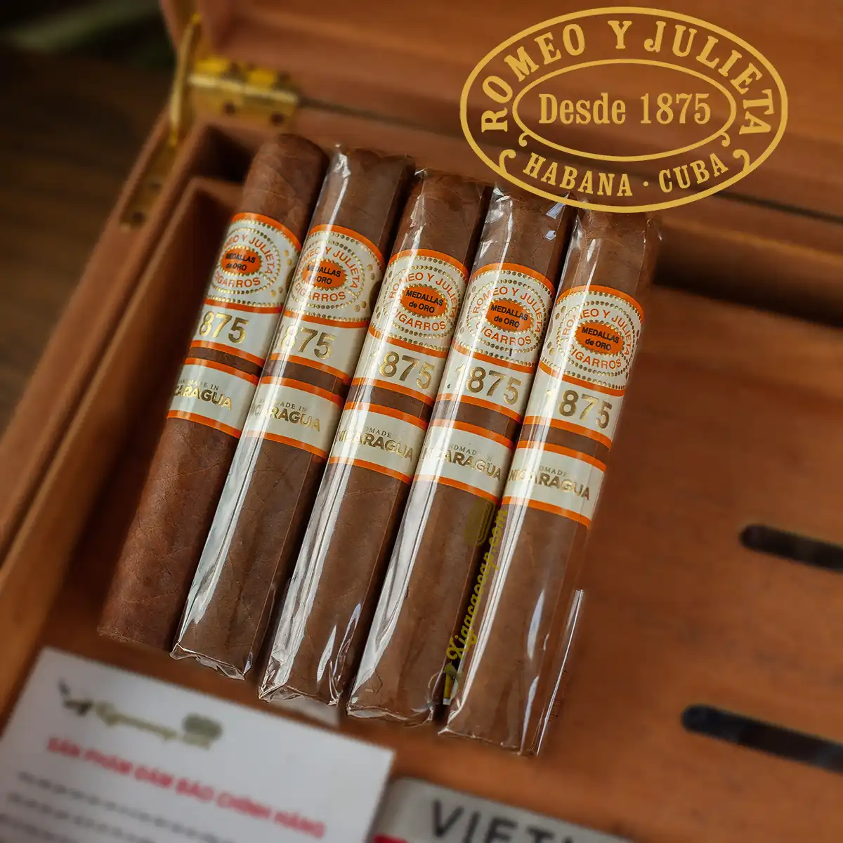 Gói xì gà Romeo y Julieta 1875 Nicaragua Bully 5 điếu chính hãng