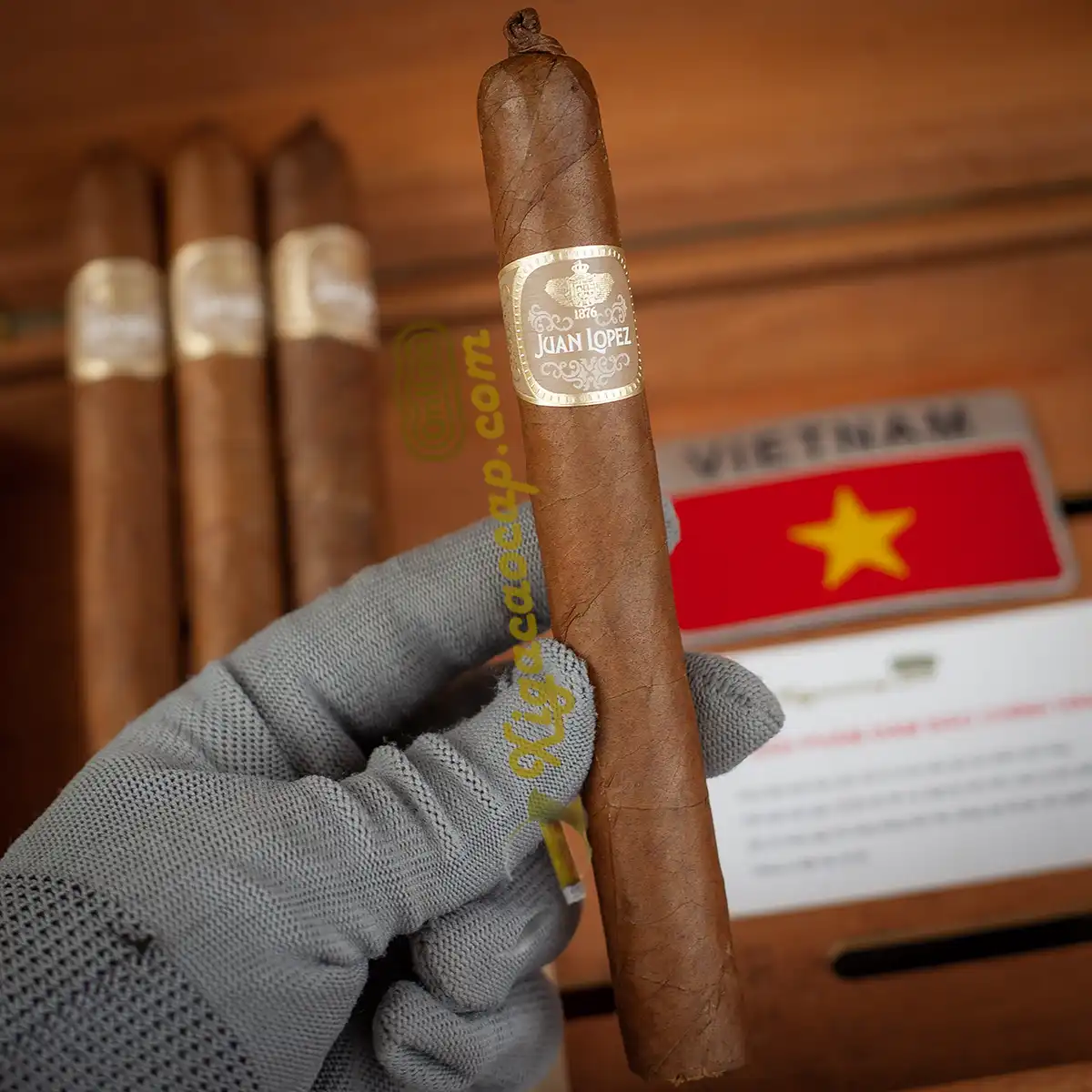 Trải nghiệm cầm trên tay điếu Cigar Juan Lopez Seleccion Especial