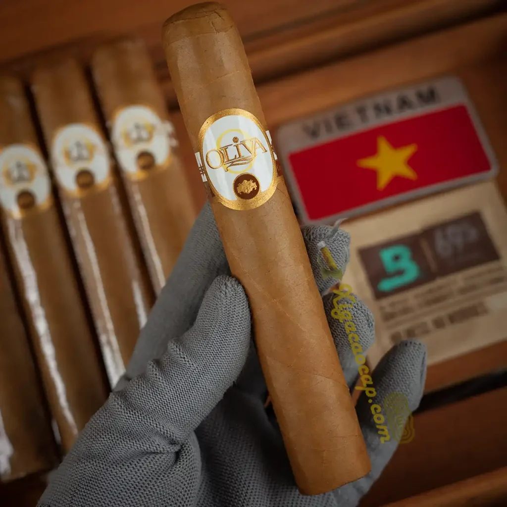 Trên tay điếu xì gà Oliva Connecticut Reserve Double Toro chính hãng