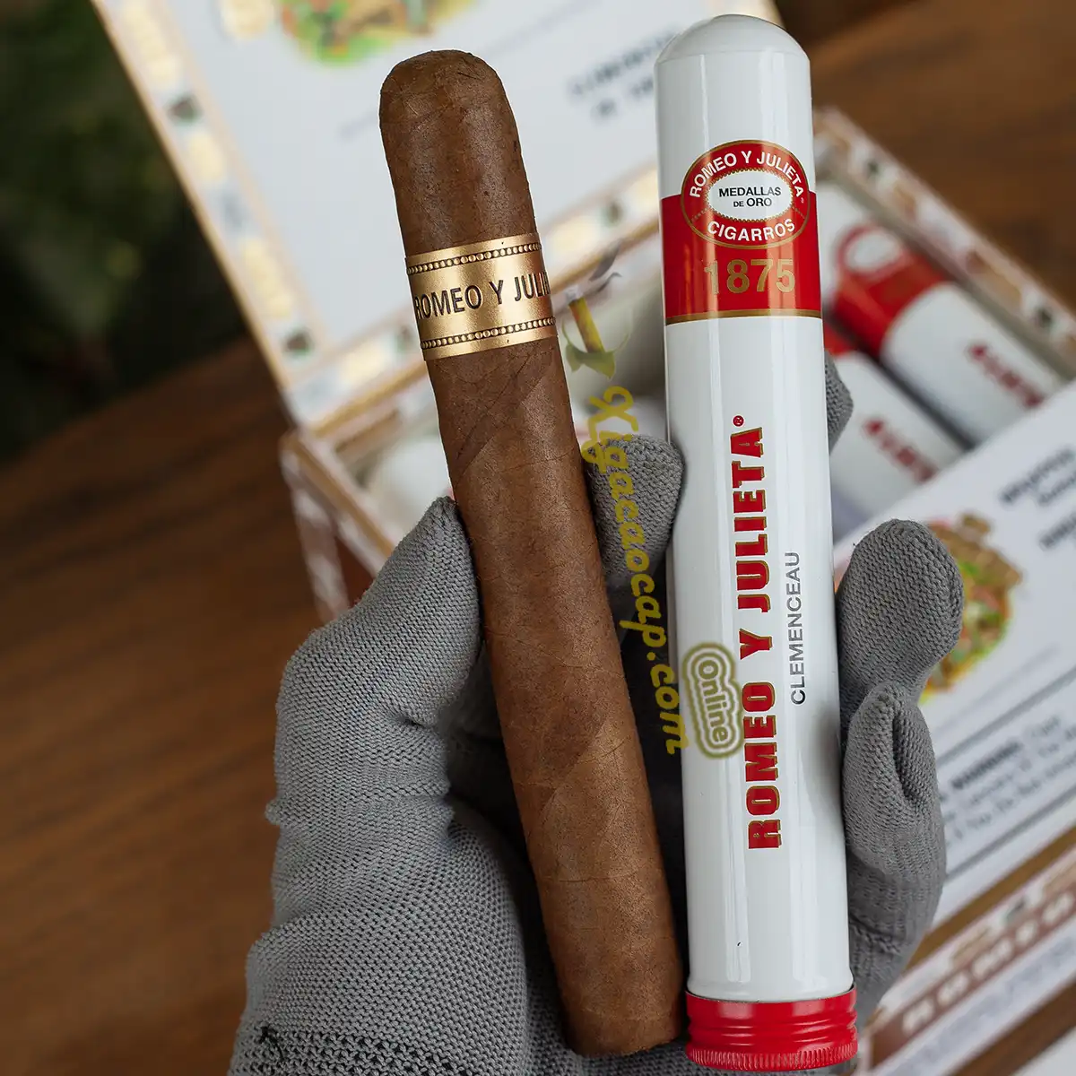 Trên tay điếu xì gà Romeo Y Julieta 1875 Clemenceau kích thước ring 50