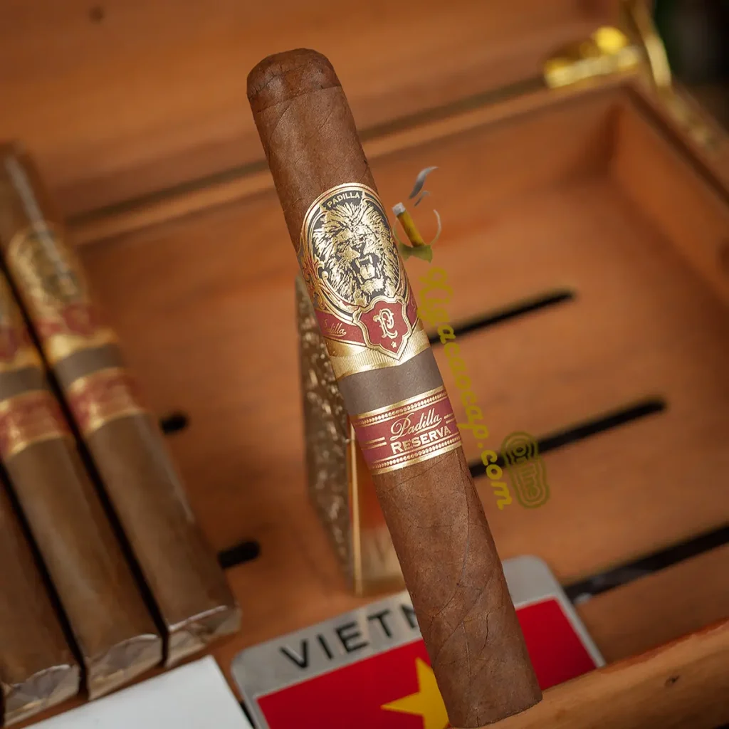 Dieu xi ga Padilla Reserva Toro bao quan trong tu humidor